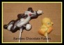 336sp Sly Cat and Sweet Bird Chocolate Candy Lollipop Mold